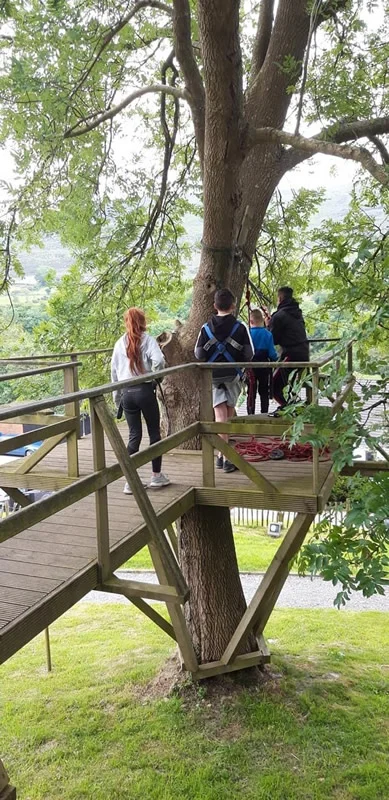 MyLife Event Group On Tree Platform