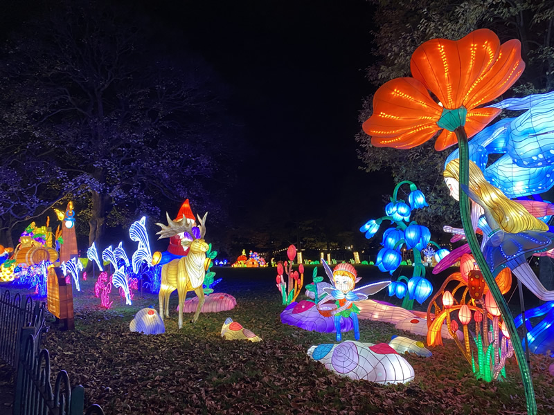 Bright Lights Botanic Event Reindeer